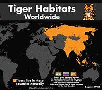 Image result for Tiger Habitat World Map