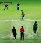 Image result for Cricket Bowling GIF