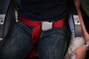 Image result for Airplane Seat Belt