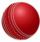 Image result for Cricket Templates Free Download