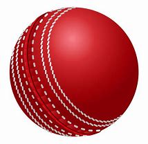 Image result for Cricket Items.png