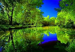 Image result for Beautiful Sky Trees