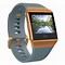 Image result for Fitbit Watch F8406