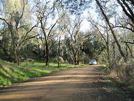 Image result for Dover Canyon Zinfandel Cujo