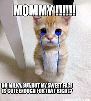 Image result for Cute Sad Cat Memes