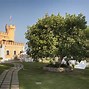 Image result for Castello di Borghese Sauvignon Blanc Founder's Field Reserve
