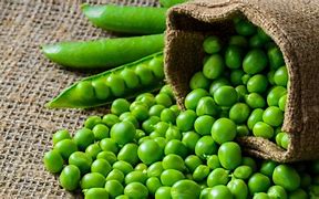 Image result for Green Peas Nowa