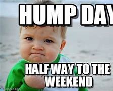 Image result for Tomorrow Is Hump Day Meme