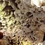 Image result for The Largest Geode Outside