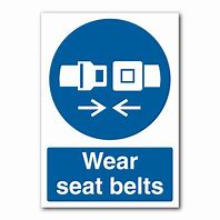 Image result for Seat Belt Logo
