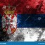 Image result for Alt Serbian Flag