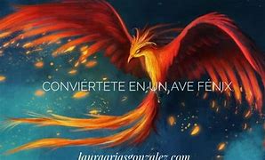 Image result for Ave Fenix Fases