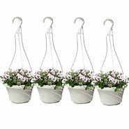 Image result for Plastic Hanging Flower Baskets