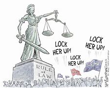 Image result for Nuremebr Laws Cartoon