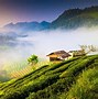 Image result for Chiang Mai Thailand Wallpaper