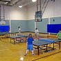 Image result for Table Tennis Court