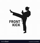 Image result for Martial Arts Kick Silhouette