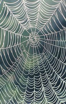 web bid how to make a big spider web ehow web bid how to make a big spider web ehow