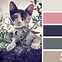 Image result for Cheshire Cat Paint Scheme