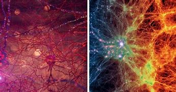 Image result for Human in Universe Look