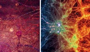 Image result for Space Looks Like Brain