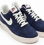 Image result for Blue Sway Air Force 1