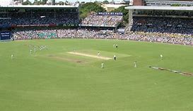 Image result for Cricket Live Vidéo
