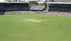 Image result for Big Roof Cricket
