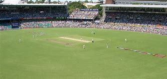 Image result for Australian Field Cricket