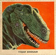 Image result for Tyrannosaurus Tooth