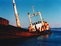 Image result for Ship Sunk by Animal