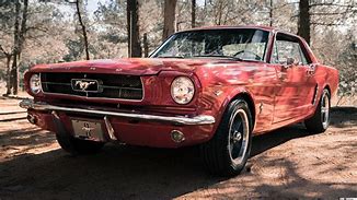 Image result for Mustang Old Timer