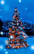 Image result for Christmas Tree HD