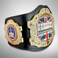 Image result for Designer Wrestling Belt
