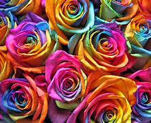 Image result for Unicorn Galaxy Wallpaper Roses