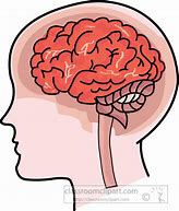 Image result for Head and Brain Clip Art