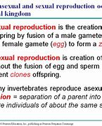 Image result for What Is Animal Reproduction