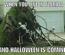 Image result for Florida Halloween Meme