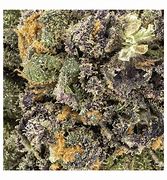 Image result for Aphria Cannabis