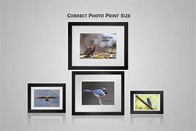 Image result for 4X3 Photo Size