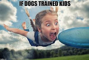 Image result for Frisbee Dog Meme