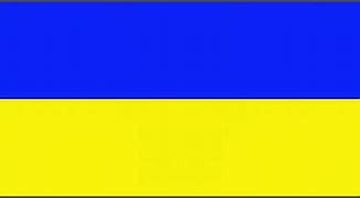 Image result for Royal Blue and Yellow