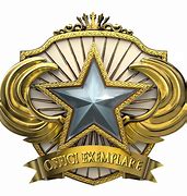 Image result for Service Medal PNG CS:GO