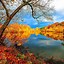 Image result for Fall Scenes iPhone Wallpaper