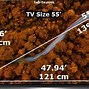 Image result for How Big Is a 55 Inch TV