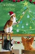 Image result for Christmas Cat Humor