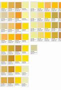 Image result for Yellow Color Palette Pantone
