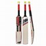 Image result for DSC Cricket Bats Rainbow