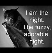 Image result for Fuzzy Bat