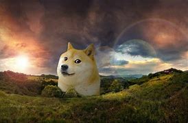 Image result for Doggo Memes Doge